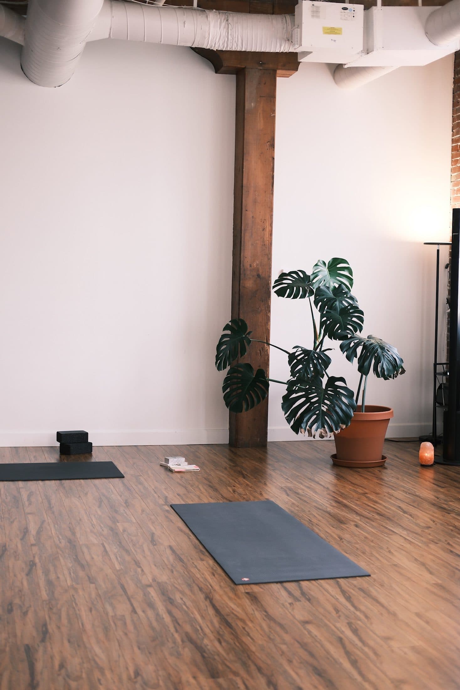 Open studio floor with mats laid out beneath exposed ductwork and a potted monstera
