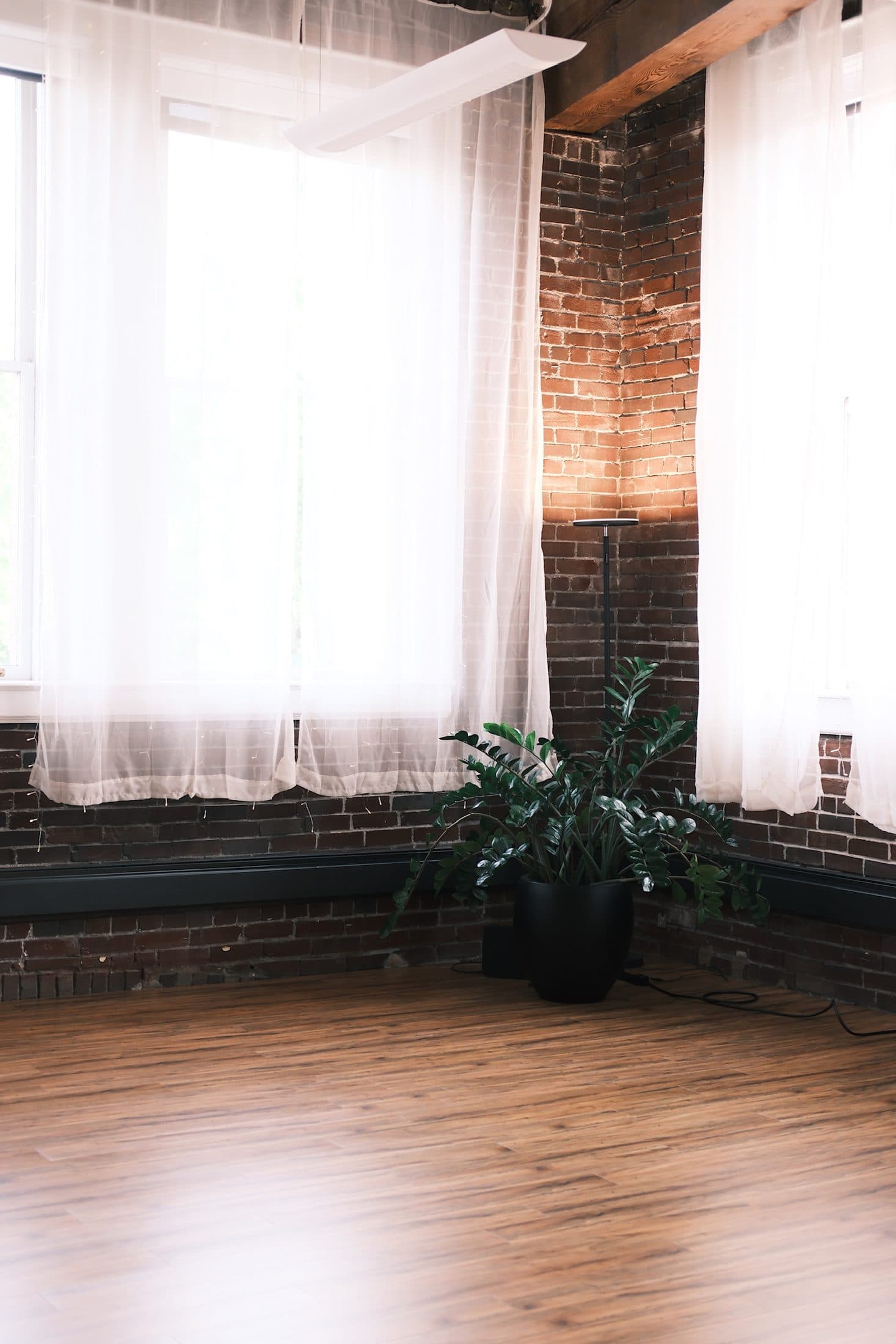 Exposed brick wall and tall windows with sheer curtains, a plant on the floor