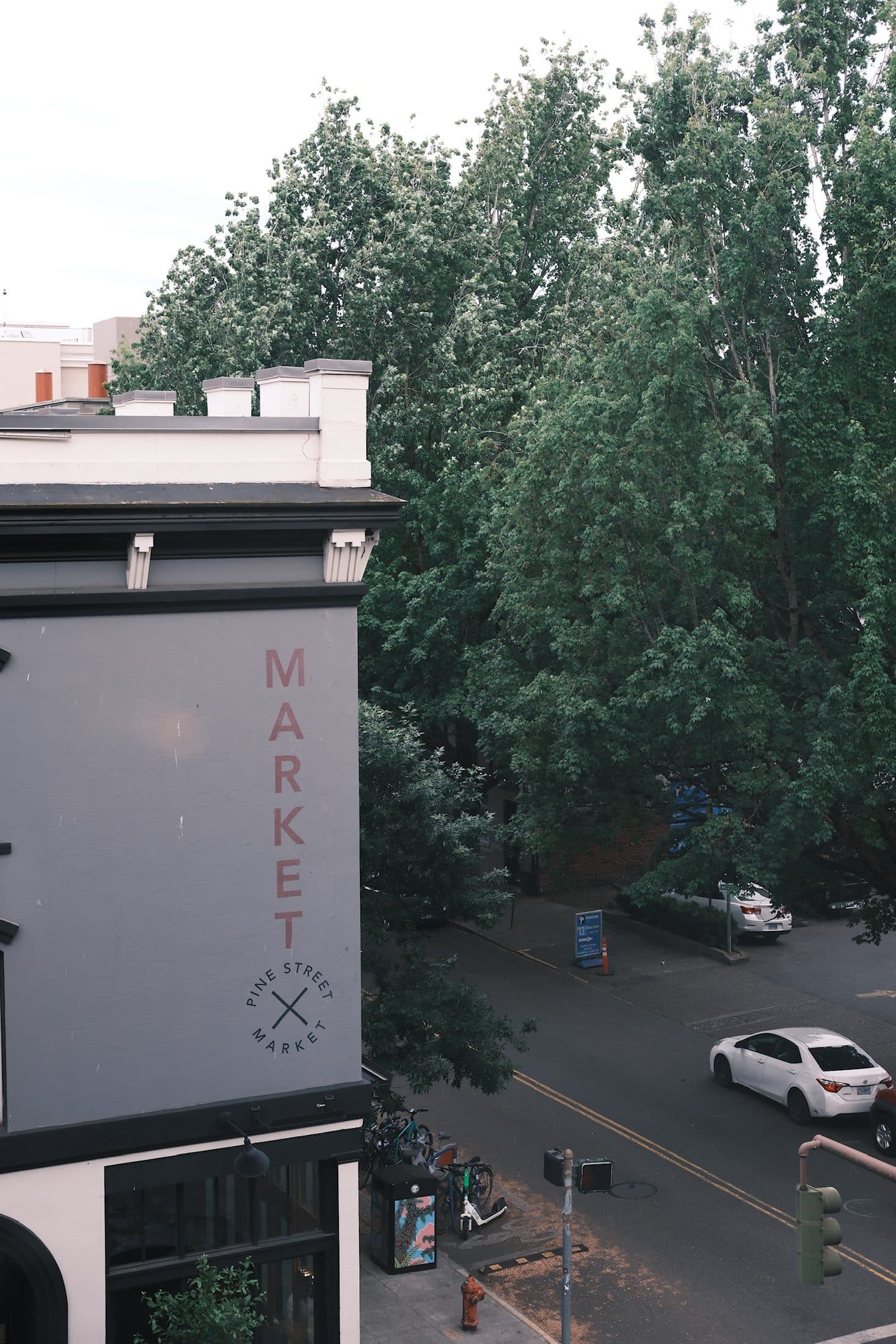 View from the studio windows over street trees in Portland's Old Town
